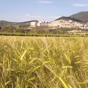 Alojamento de Acomodação e Pequeno-almoço Domus Benedicta, Assisi